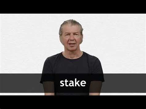 STAKE definition in American English .